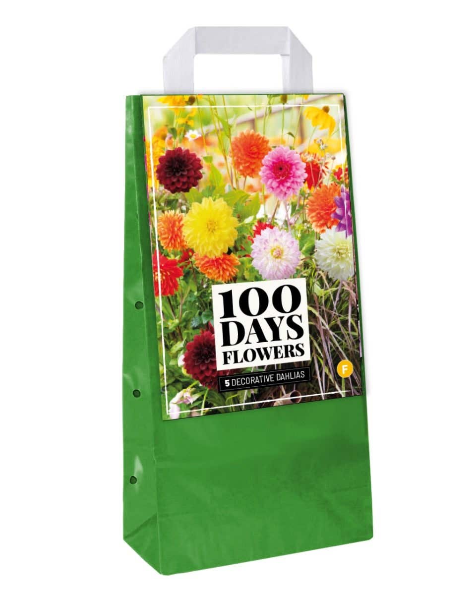 Draagtas 5 Dahlia Deco Mix