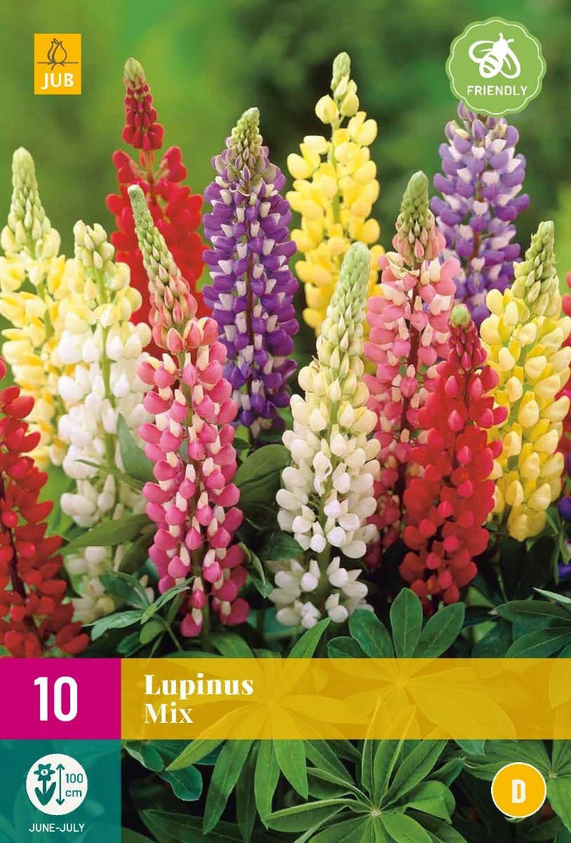 Lupinus Mix
