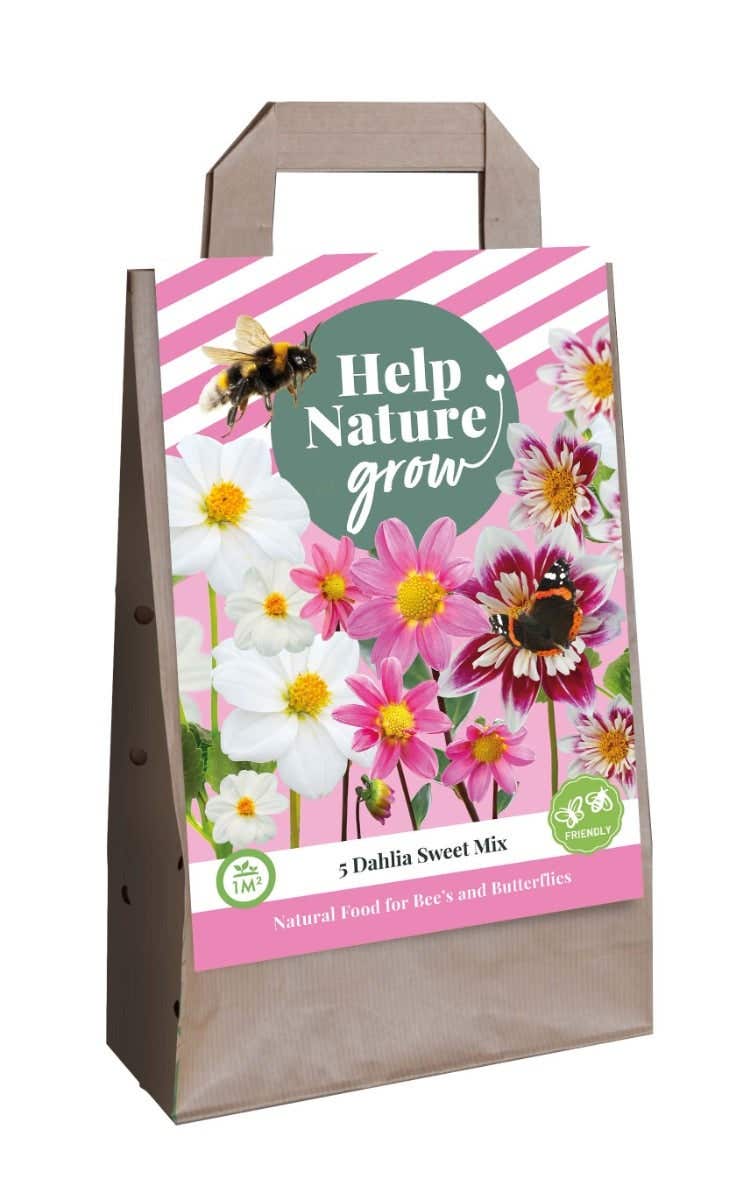 Tas 5 Dahlias Sweet Mix