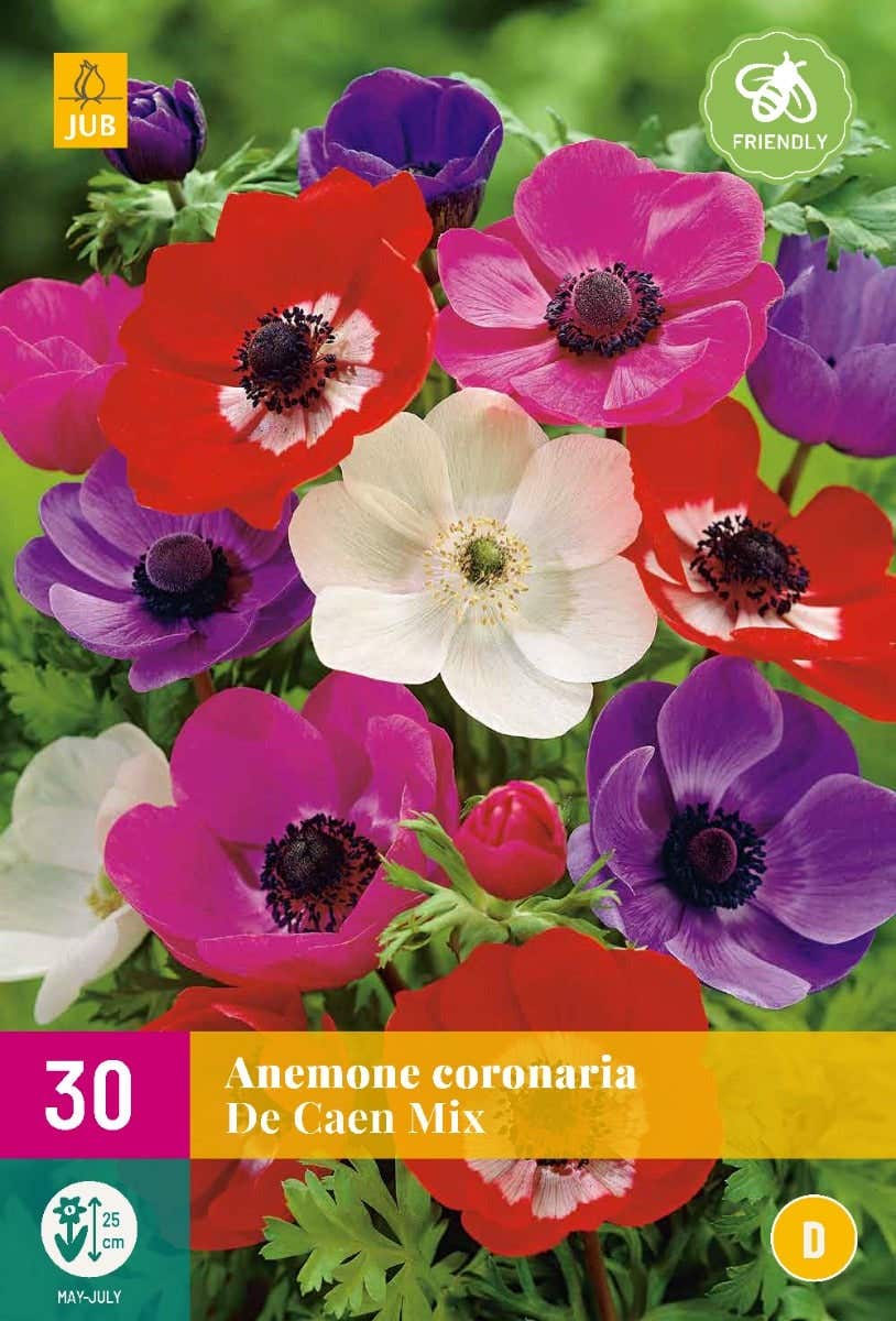 Anemone De Caen Mix 30 stuks