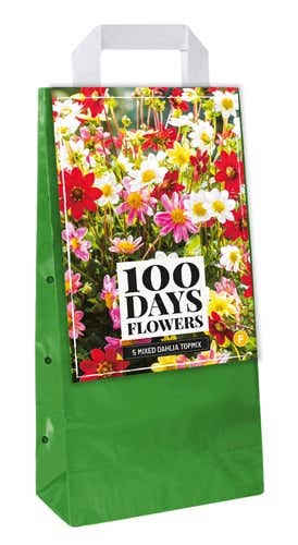 Draagtas 5 Dahlia Topmix Mix