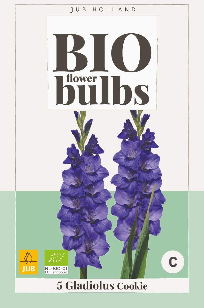 Bio Gladiolus Cookie