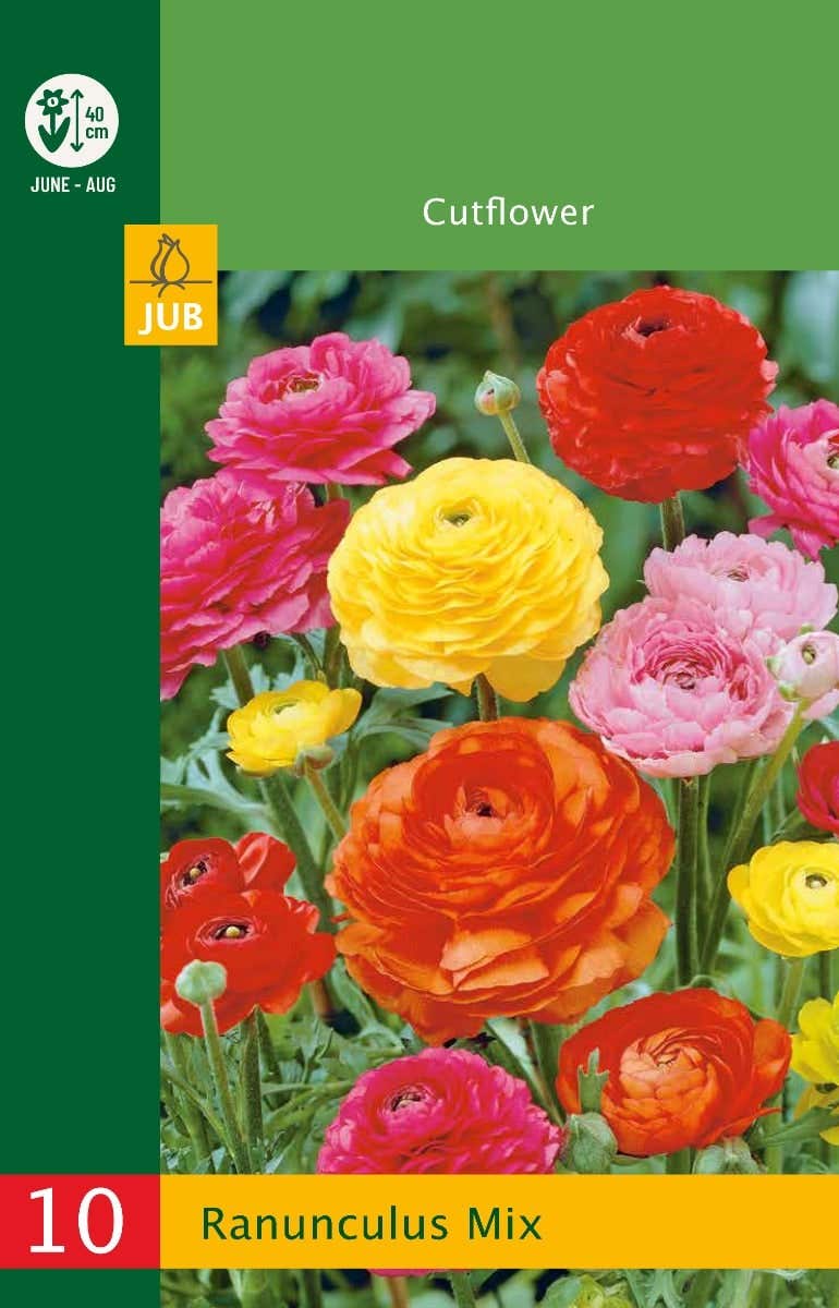 Low Budget Ranunculus Mix