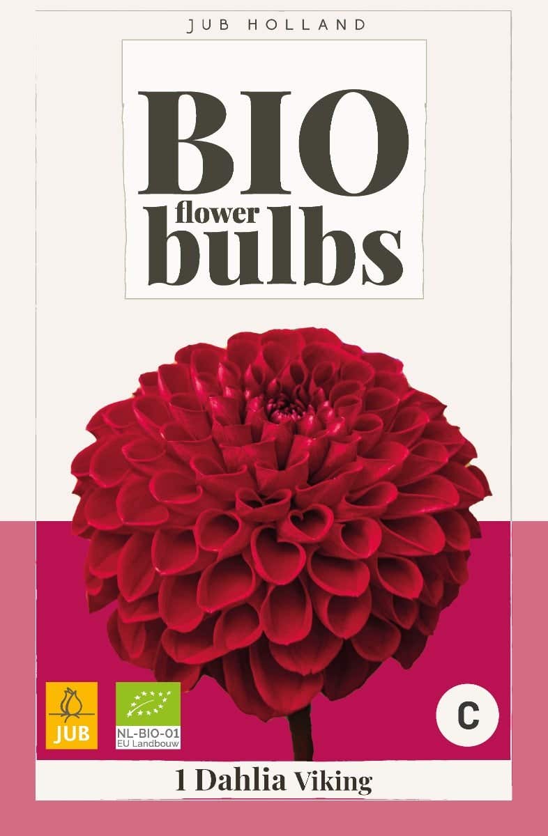 Bio Dahlia Viking