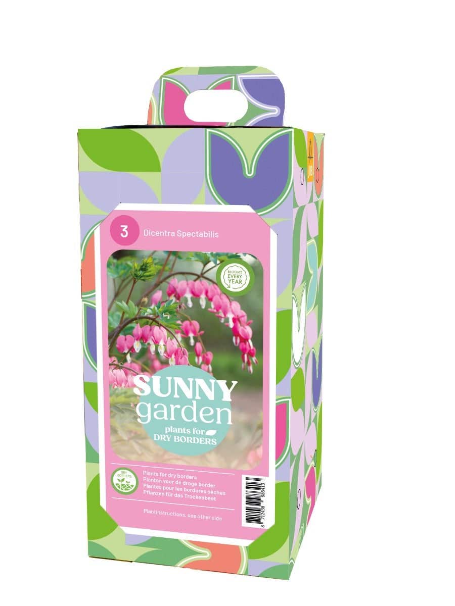 Doos Sunny Garden Plants 3 Dicentra Roze