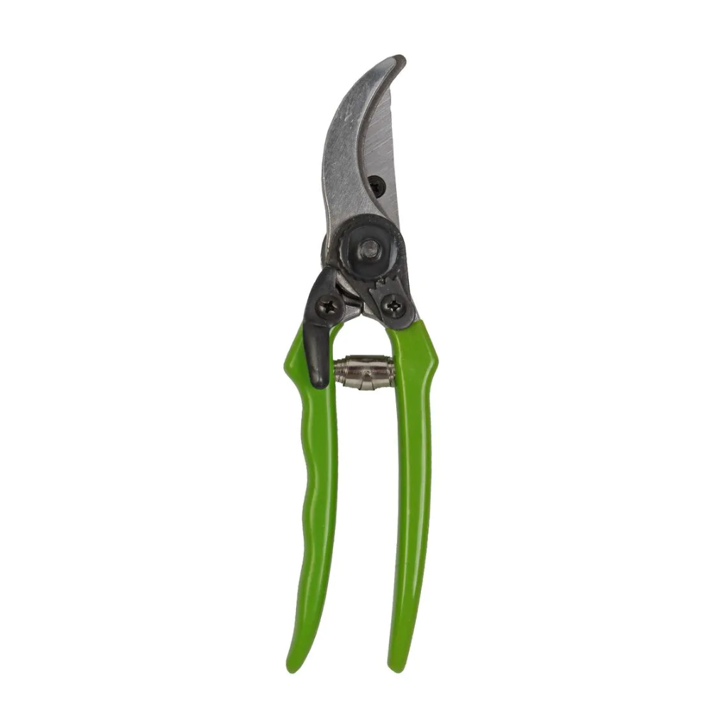 Talentools Snoeischaar Groen
