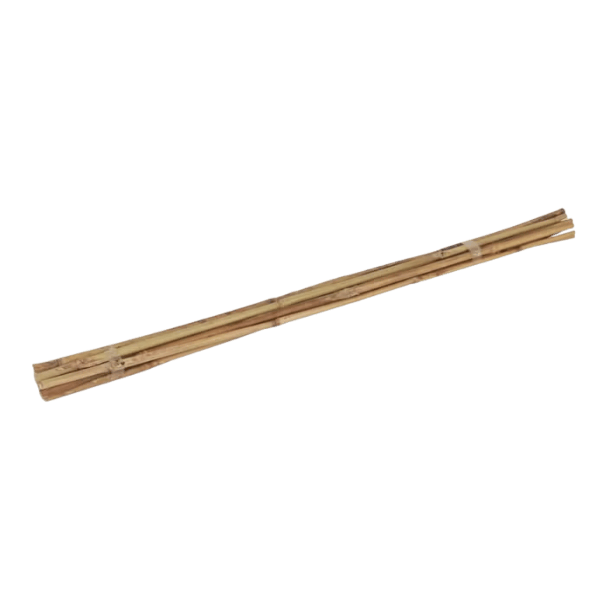 Talen Tools Bamboestokken 60 cm Ø6-8 mm 10 stuks