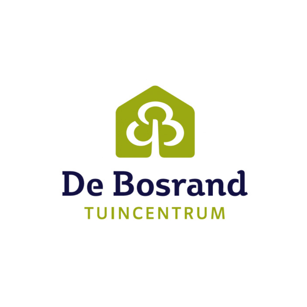 Paprika Geel (Capsicum annuum) BIO