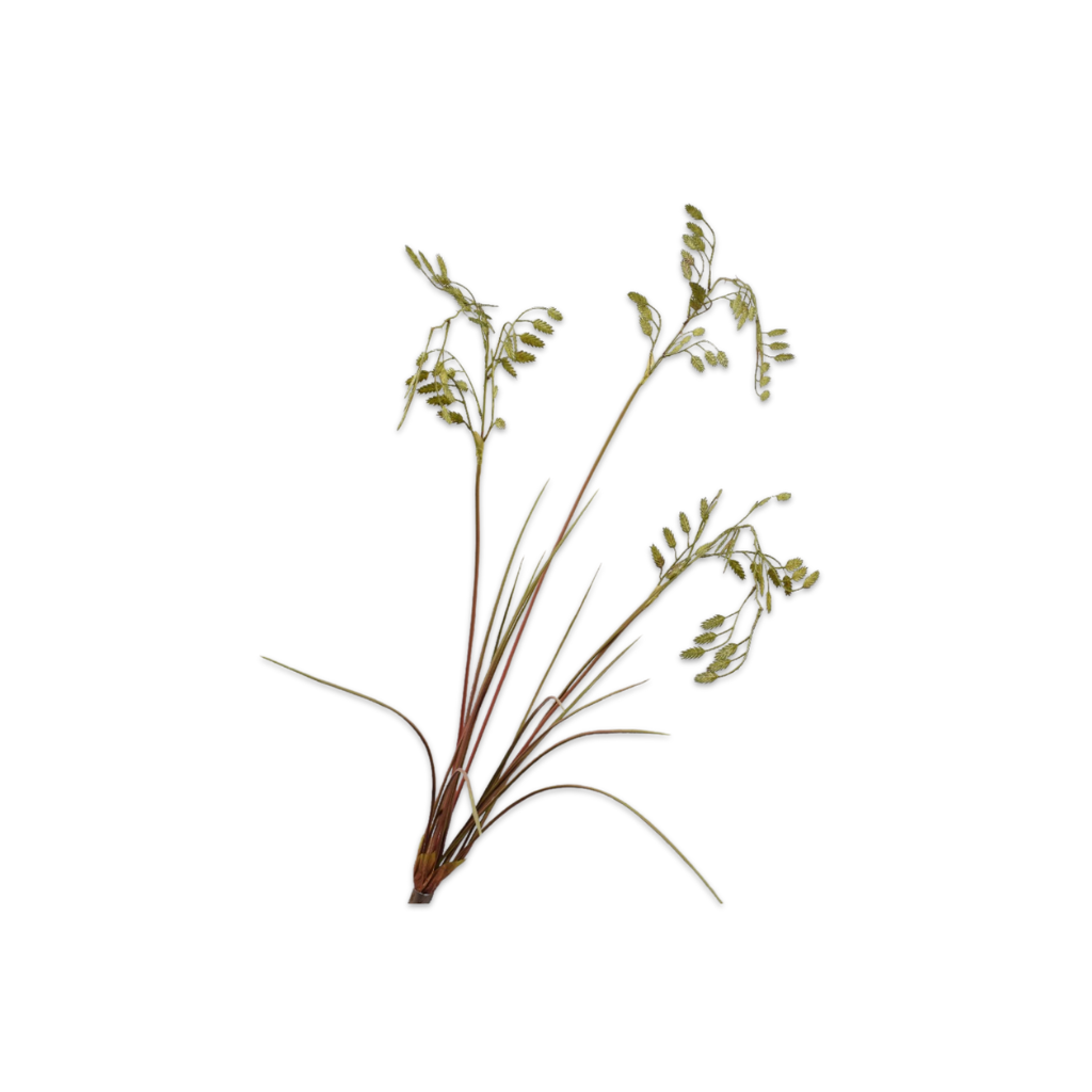 Gras Tak Groen