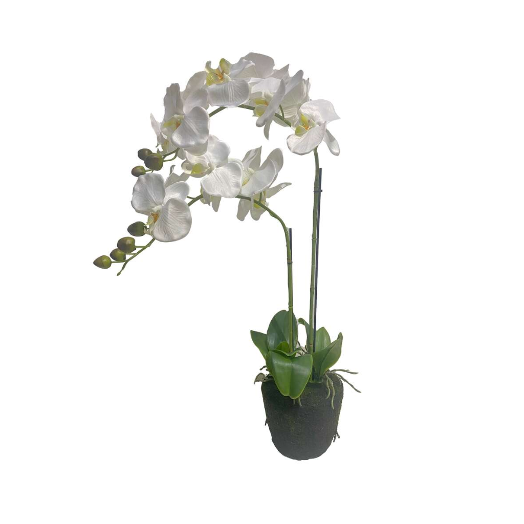 Kunstplant Orchidee 2 taks wit 64 cm