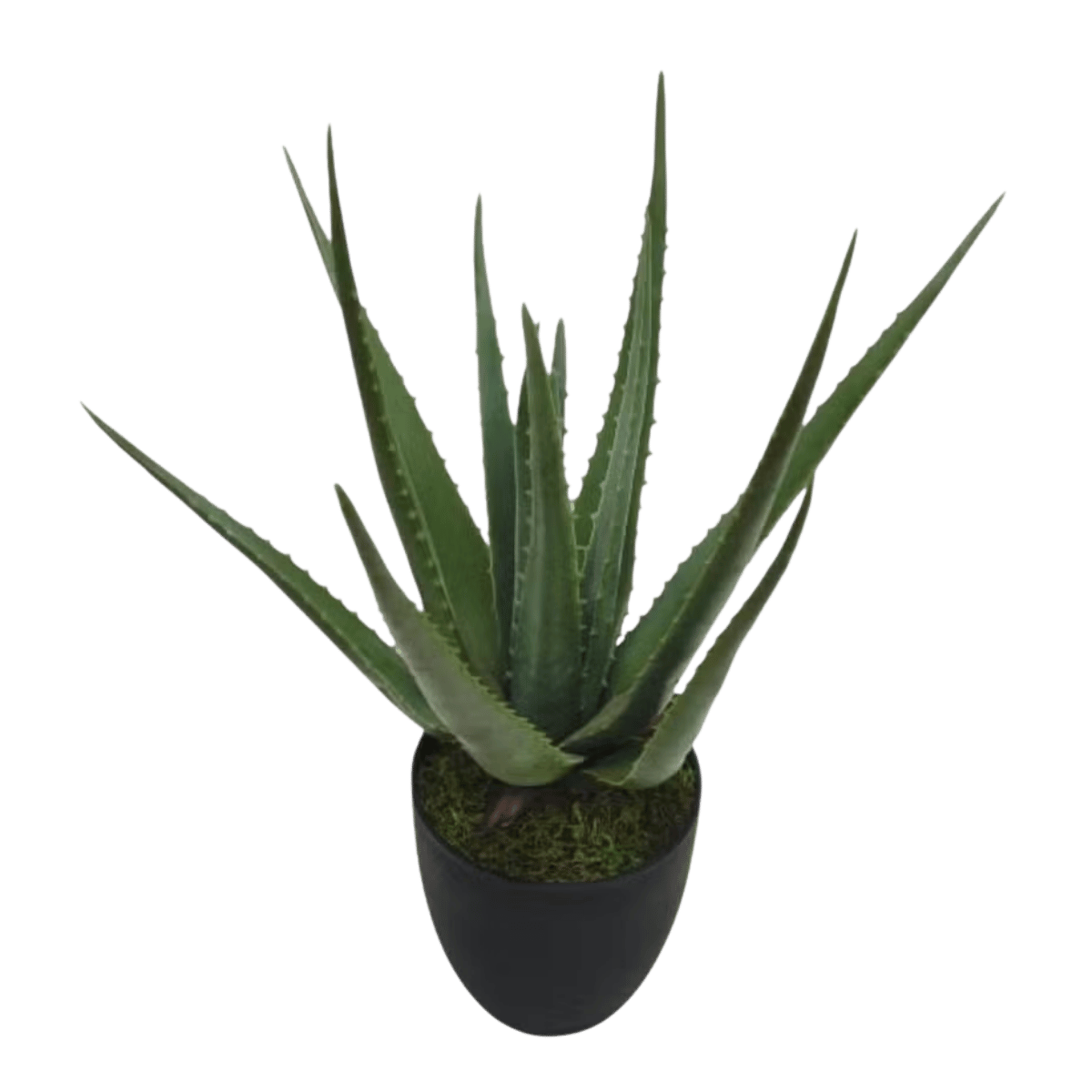 Kunstplant Aloe Vera in pot 70 cm
