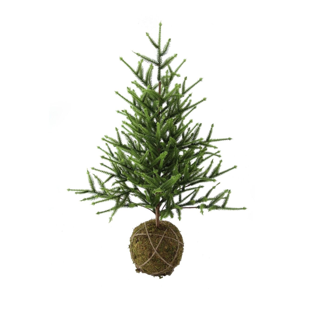 Evergreen mini kerstboom moskluit groen 60 cm