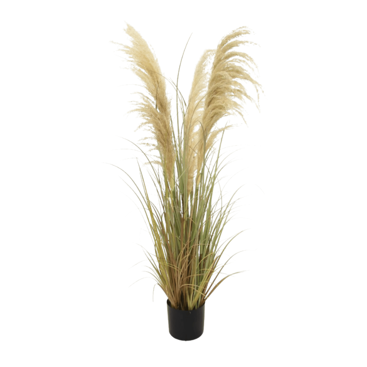 De Bosrand Kunstplant Pampas Naturel 122 cm