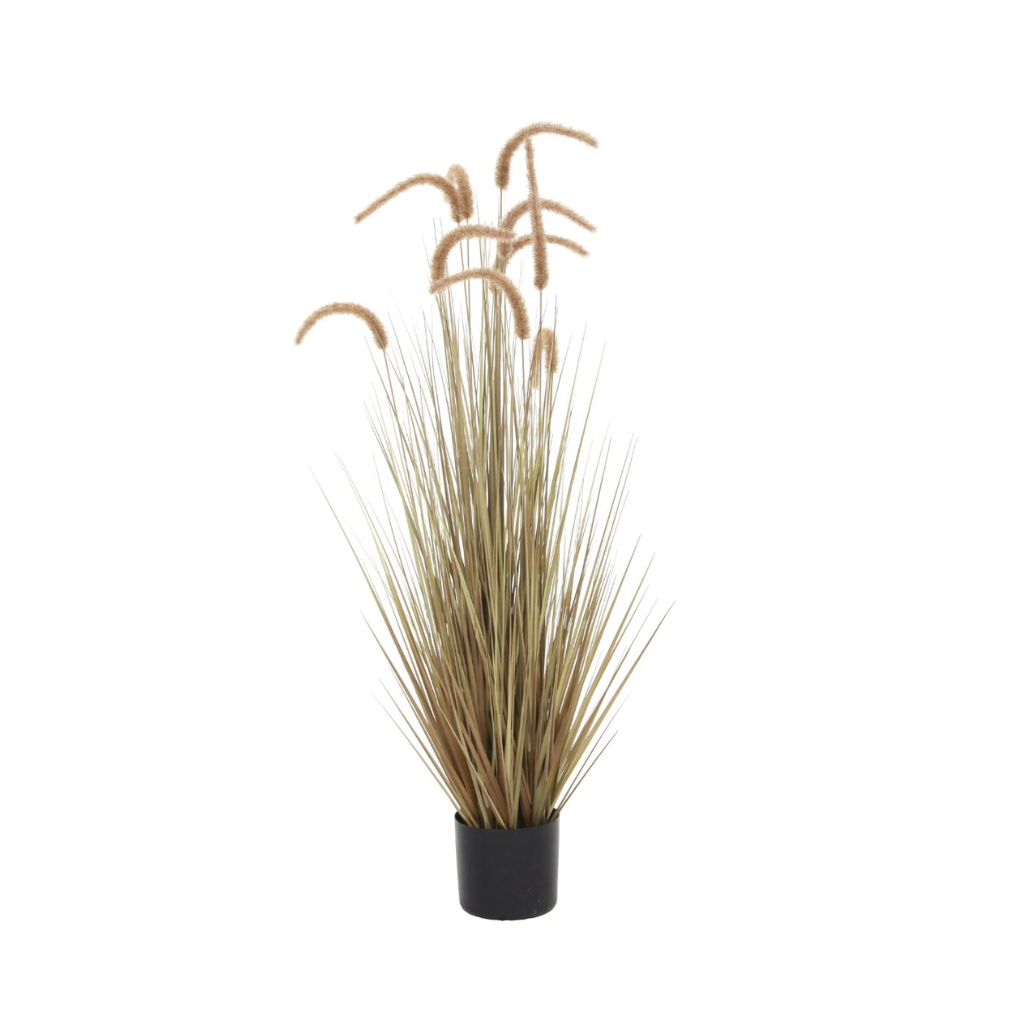 Pluimgras met pluim 120 cm naturel