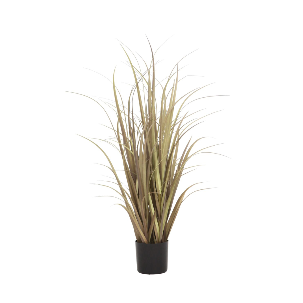 Pluimgras 90 cm naturel