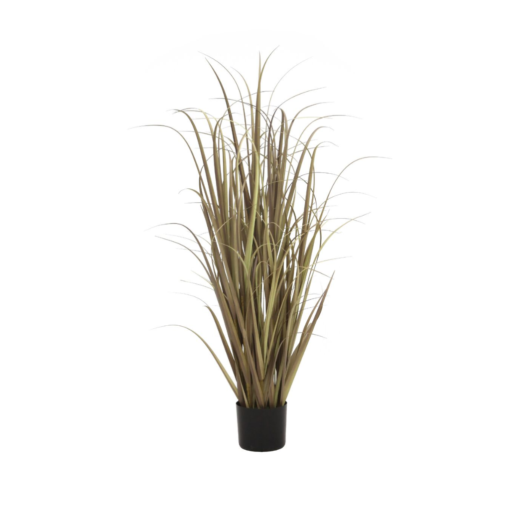 Pluimgras 120 cm naturel