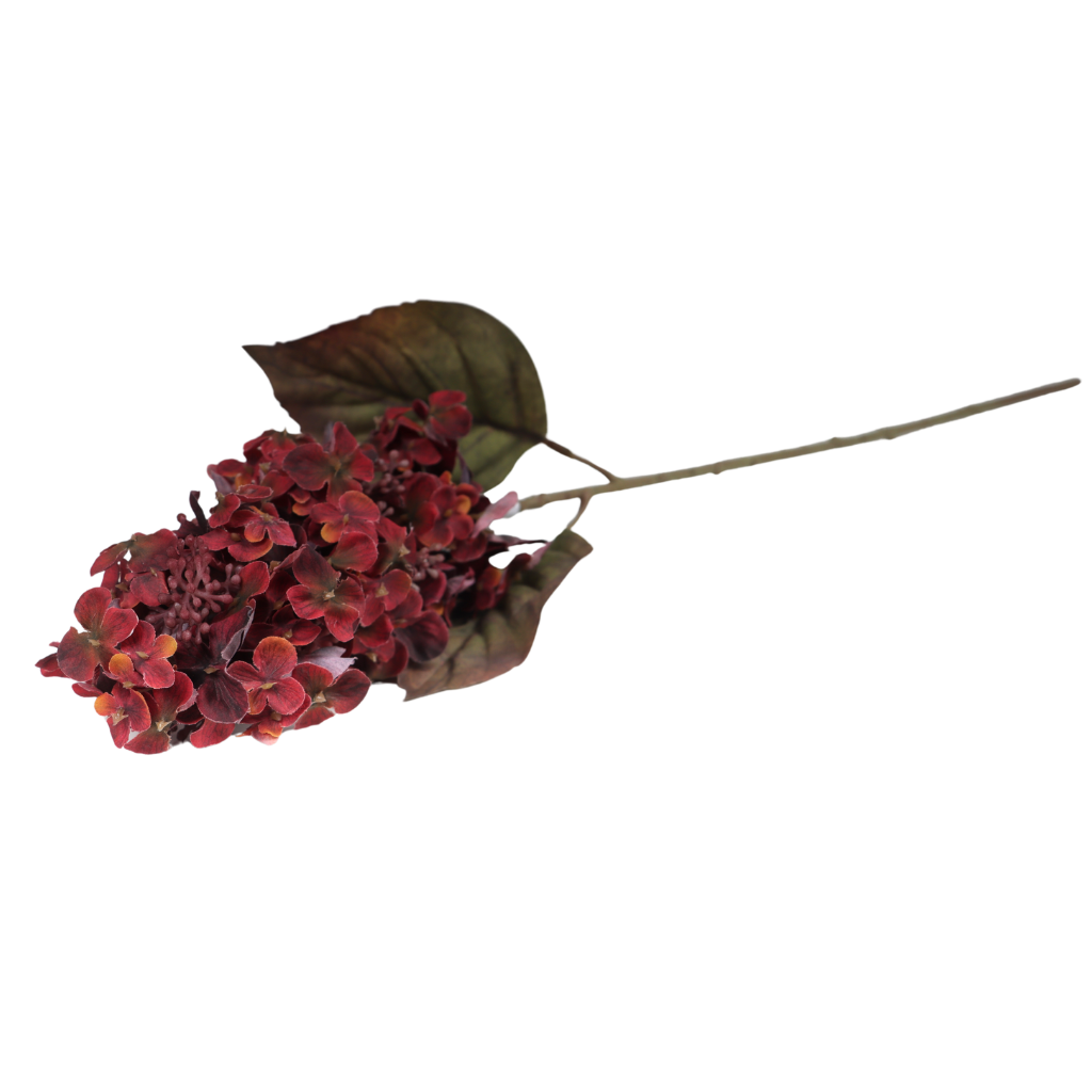 Sering rood 70 cm