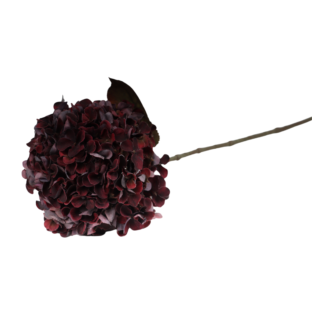 Hortensia rood 65 cm