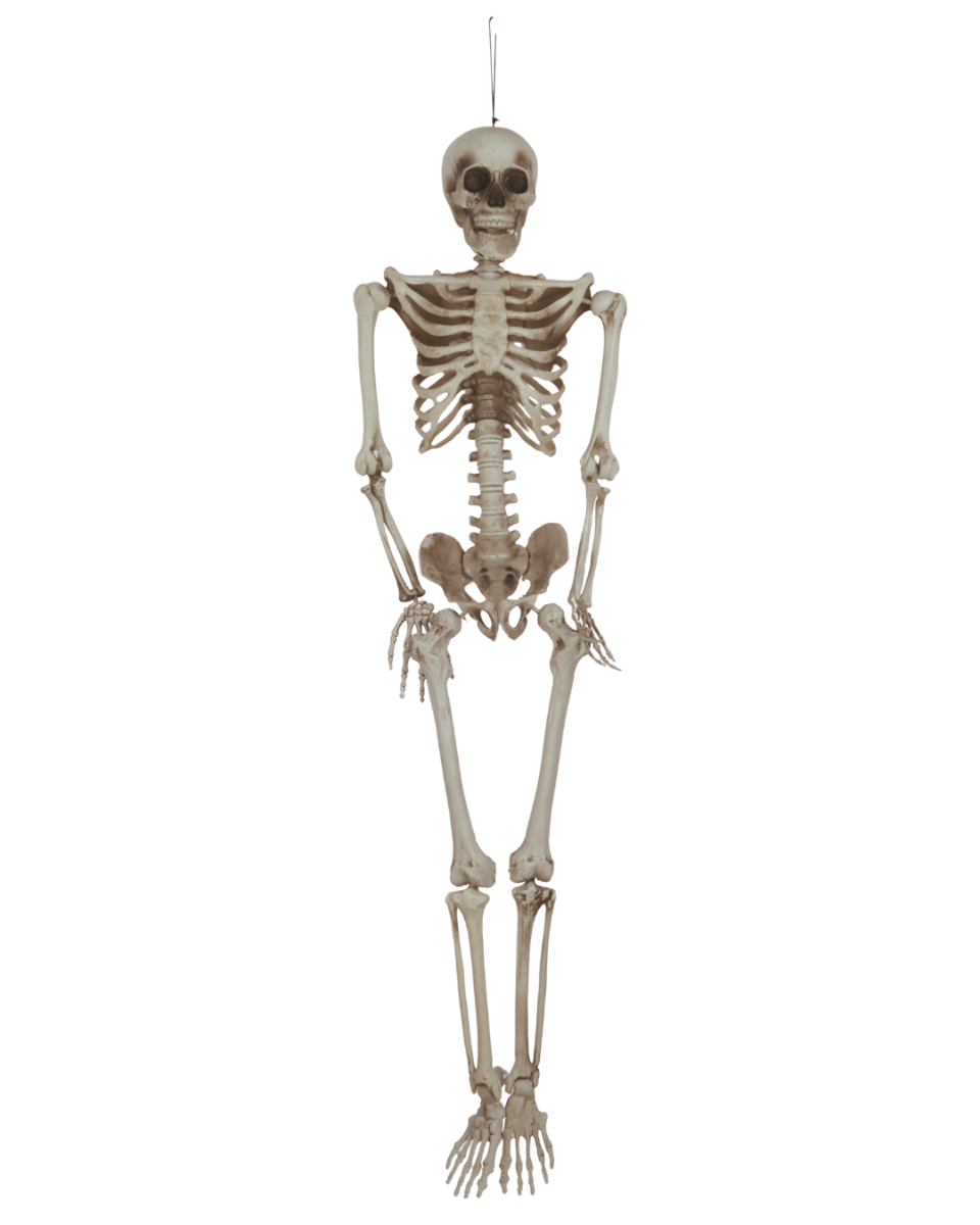 Halloween Skelet 