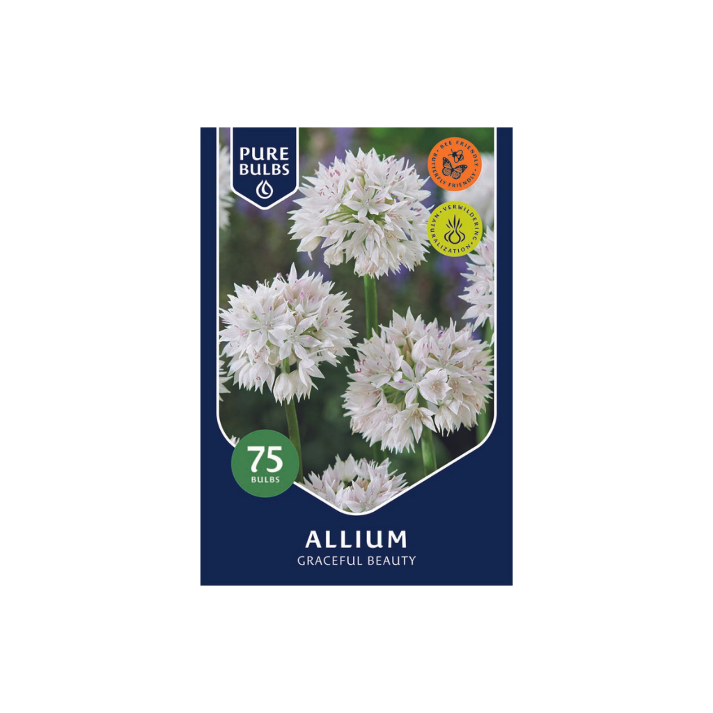 Pure Bulbs Allium Graceful Beauty 75 bollen