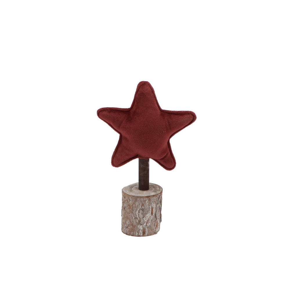 Velours Bordeau Ster op Stam 22 cm