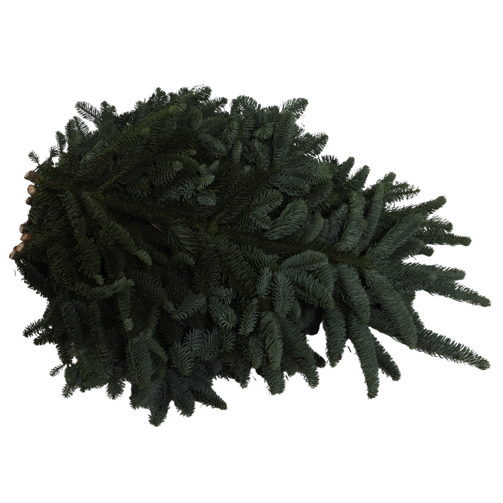 Nobilis pak