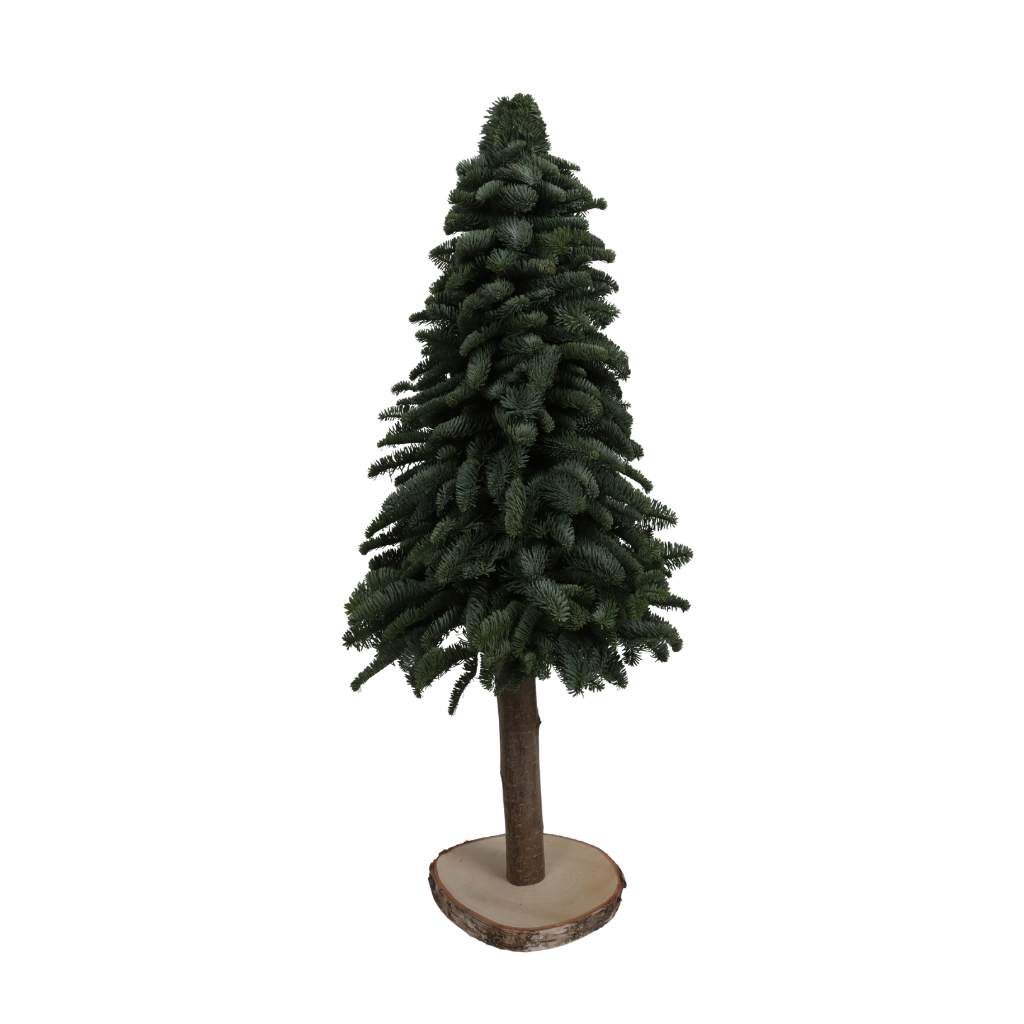 Nobilis Tree op stam 60 cm
