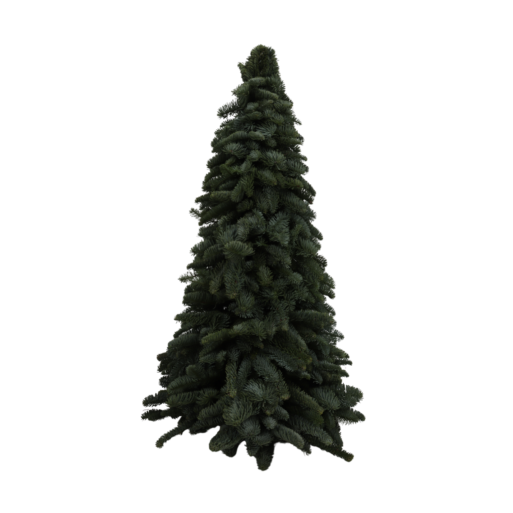 Nobilis Tree Up 60 cm