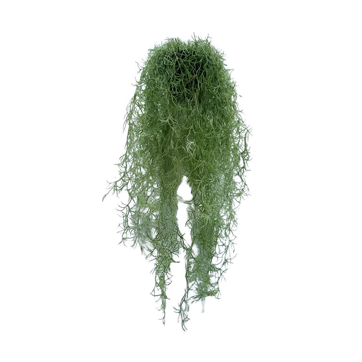 Kunst hangplant Tillandsia met pot 74 cm