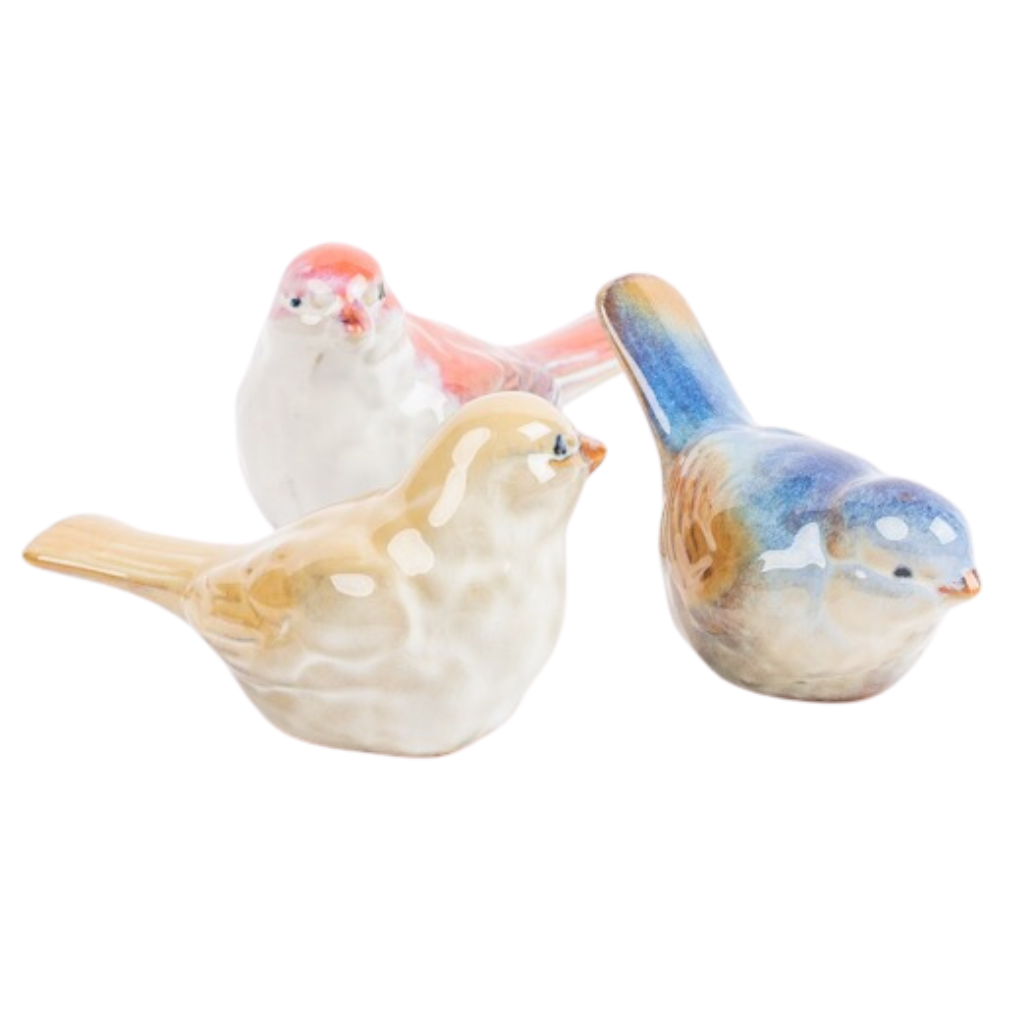 Des Pots Vogeltjes klein