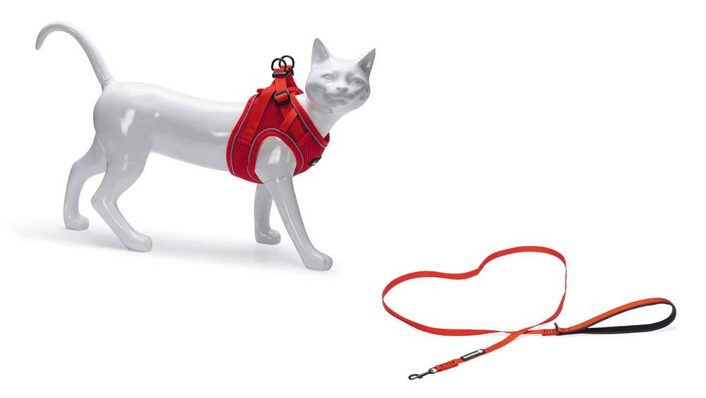 Beeztees kattentuigje met lijn Parinca rood M/L 26-31 cm