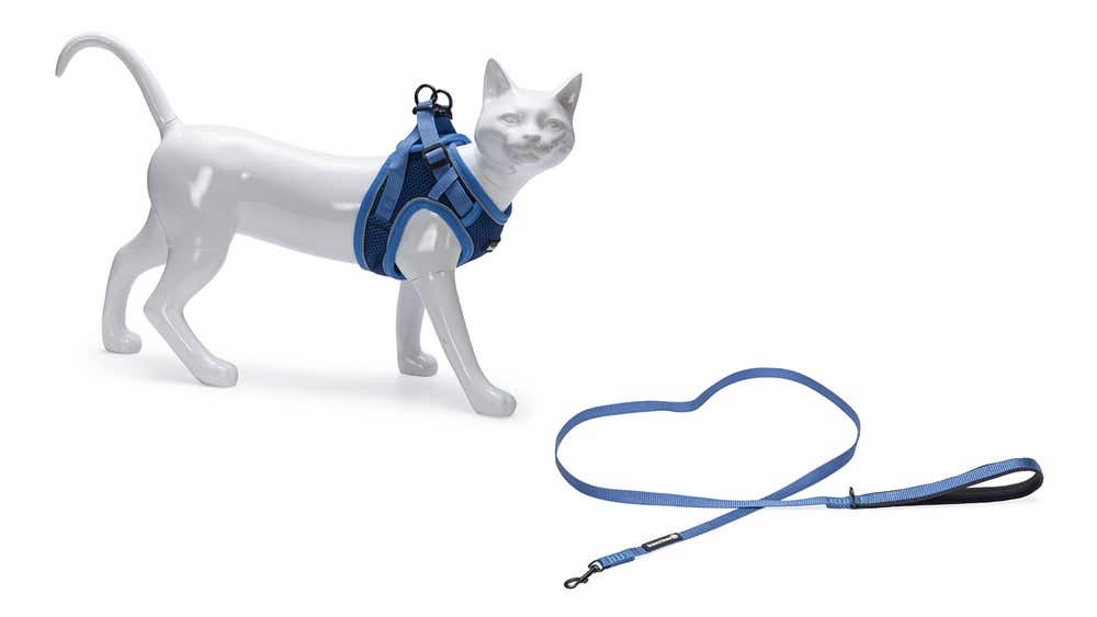 Beeztees kattentuigje met lijn Parinca blauw M/L 26-31 cm