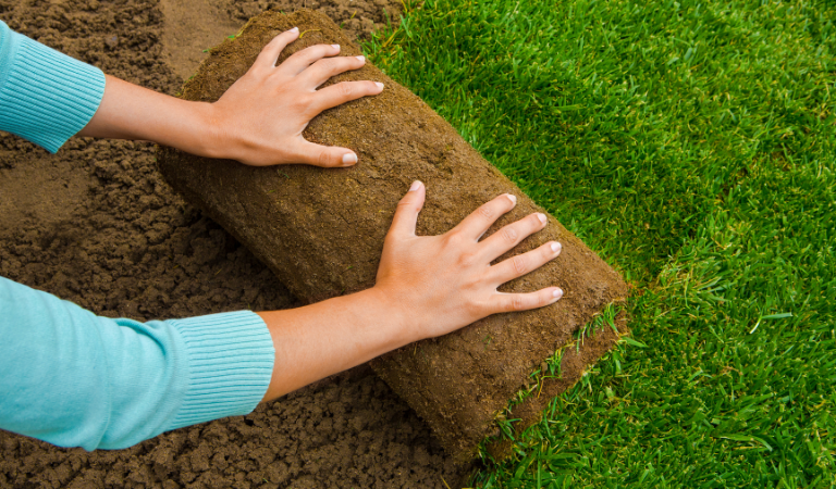 7 stappen voor het aanleggen van een prachtig gazon!