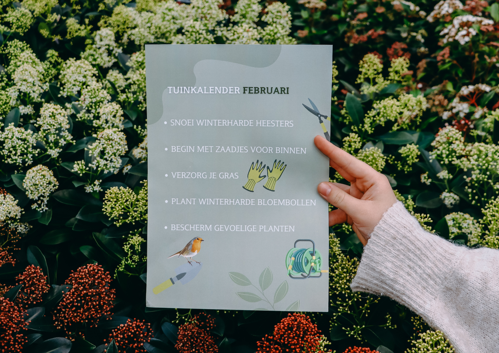 Tuinkalender februari